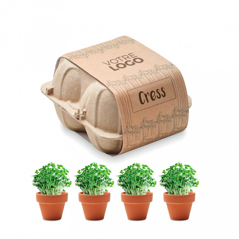 Mini kit plante à faire pousser - Pot en argile